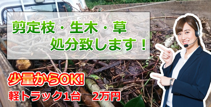 剪定枝 生木 草など軽トラック満載で2万円の激安特価 快適空間